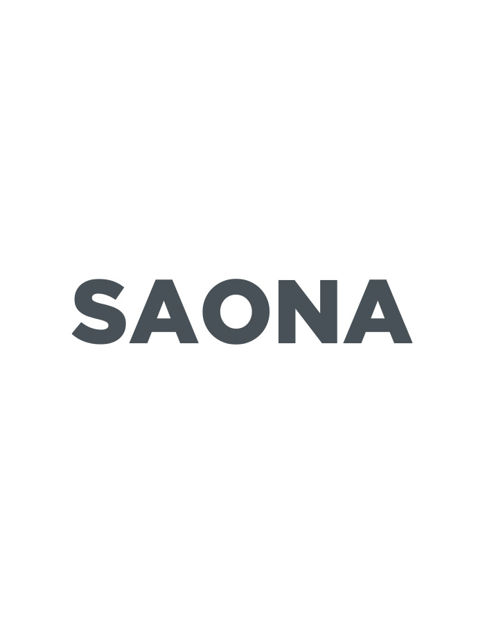 Grupo Saona logo
